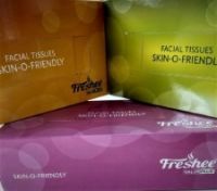 Freshee Facial Tissues Skin-O-Friendly 2 Ply100 Pulls 18cmx20cm 1 PC (1)